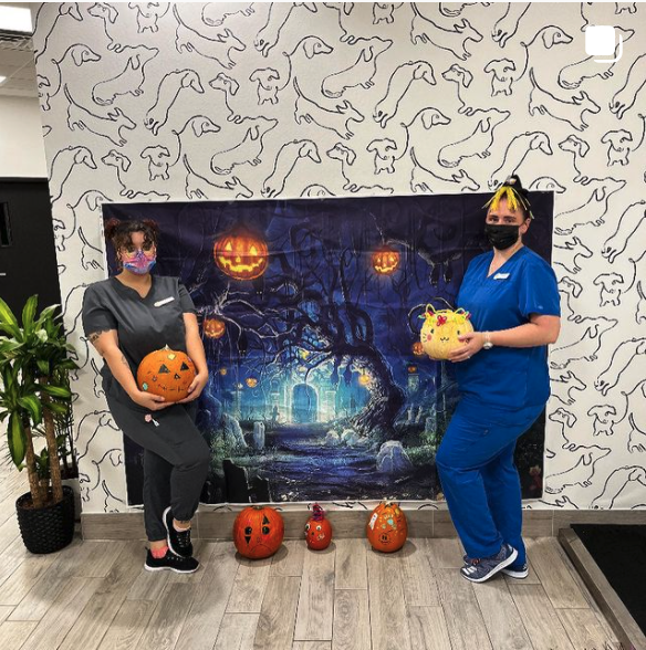 Meadowlands Veterinary Hospital